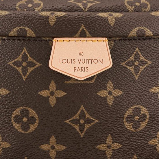 Louis Vuitton Belt Bag Monogram M43644 Bumbag