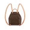 Louis Vuitton M45501 Montsouris PM