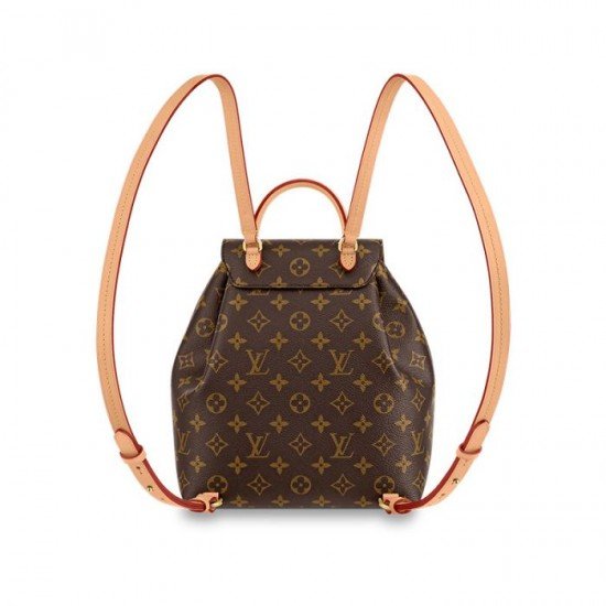 Louis Vuitton M45501 Montsouris PM